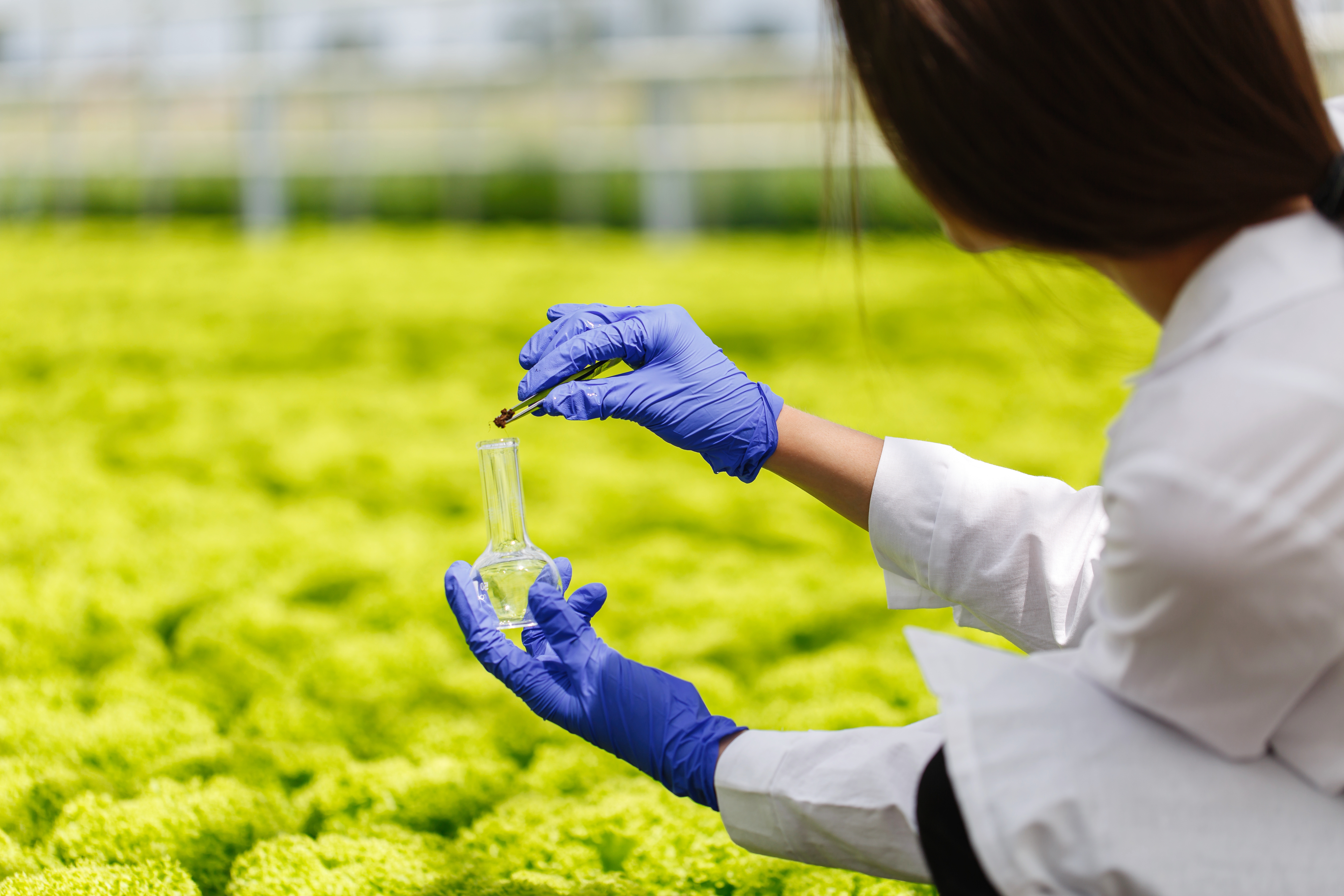 Crop Protection Research